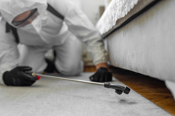 Professional Bed Bug Control technician working in North Palm Beach, FL